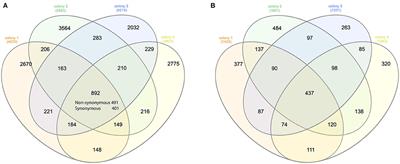 Haplotype Analysis of Varroa destructor and Deformed Wing Virus Using Long Reads